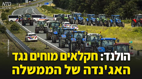 הולנד: חקלאים מוחים נגד האג'נדה של הממשלה