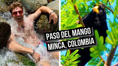 MINCA, COLOMBIA is SO BEAUTIFUL! (Bird Watching and Natural Jacuzzi in Paso del Mango)