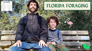 Naturevore: FLORIDA FORAGING Walk #19 (Jan. 18): Pine Galls, Birds, Leaf Shapes, Southern River Sage