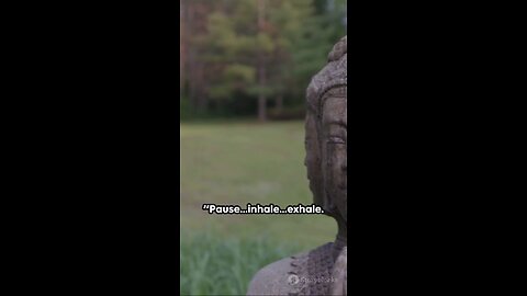 budhha motivation #peace # motivation #motivation speech