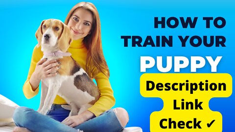 How to make most of your dog training kit best dog training kit 👇✔️✅✔️✅