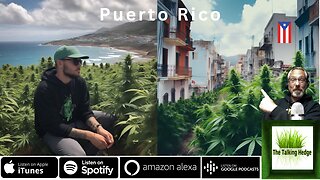 Cannabis in Puerto Rico: Exploring the Benefits and Opportunities