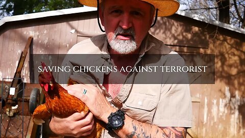 Saving Chickens Against Terrorist