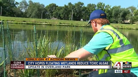 Checking in on OP’s fight against harmful algae