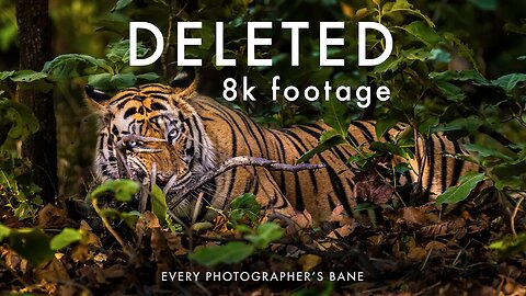 How To Recover Lost Data - I Accidentally DELETED Rare 8K Wildlife Footage | Canon R5