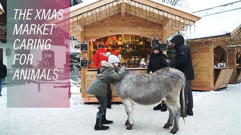 Austria’s animal sanctuary Christmas market