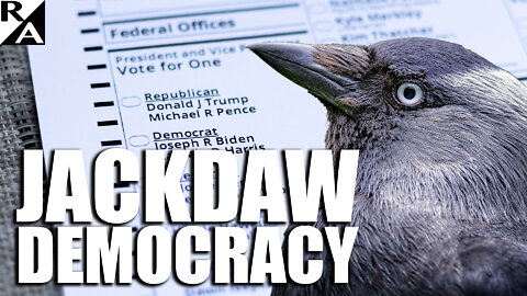 Jackdaw Democracy: Follow the Science as Group Chatter Volume Leads to Mass Exodus