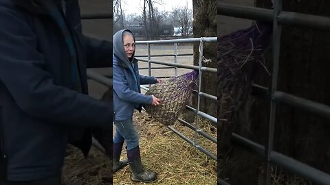 Securing Hay Nets Outside (How, Where, Where Not)