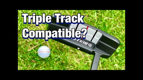 Does This Cheap Putter Work With Triple Track Golf Balls?