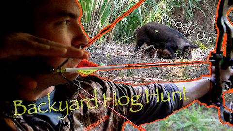 Backyard Hog hunt in Florida!! SLOWMO KILL SHOT!! Episode 04