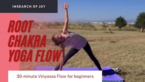 45 Long and Leisure Vinyasa Flow