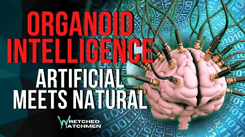 Organoid Intelligence: Artificial Meets Natural