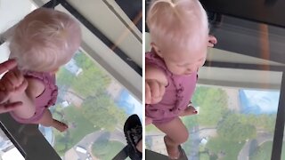 Toddler's Reaction To See-through Glass Floor Is Hilarious