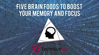 Five Brain Foods To Boost Memory And Focus