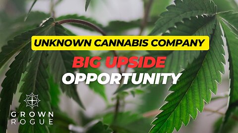 Exploring The Cannabis Industry - Is This A New Multibagger or 100 Bagger Stock Opportunity?