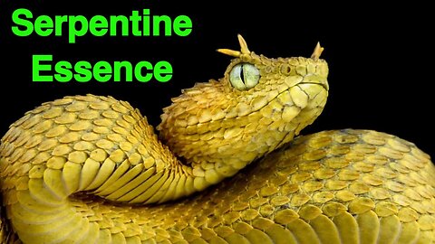 Serpentine Essence Journey into the Realm of Primordial Energy