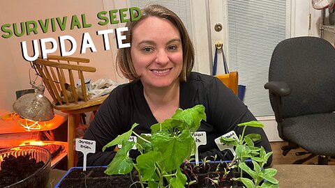 Don't Miss Out: Latest Update on Seed Survival and Plant Up-Potting