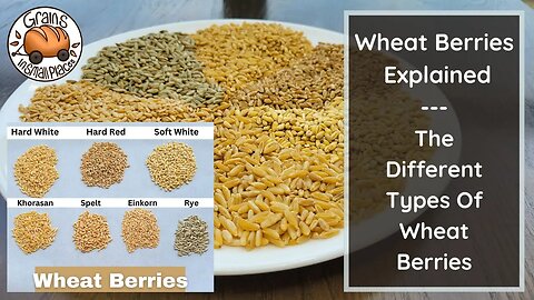 The Wheat Berry Explained | The Different Types Of Wheat Berries