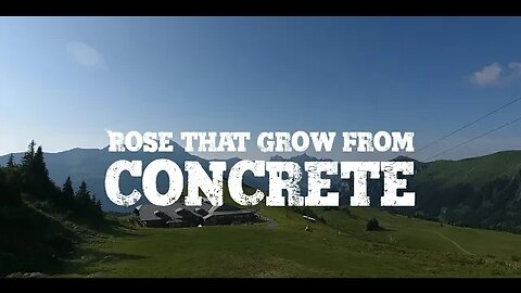 Pakx Remix | Rose That Grow From Concrete - Skillibeng