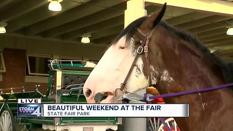 Horse hitching classes just part of today's Wisconsin State Fair agenda