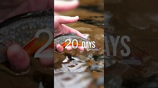 Fishing for 30 Days! #shorts #fishing