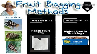 #fruitbag #methods , #fruittrees #clemsonuniversity #gardeningtips - #catshobbycorner