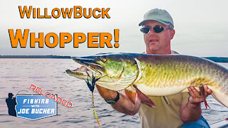 WillowBuck Whopper | MUSKY | Fishing With Joe Bucher RELOADED