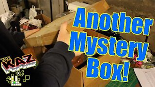 Find out What's Inside the Mystery Box!