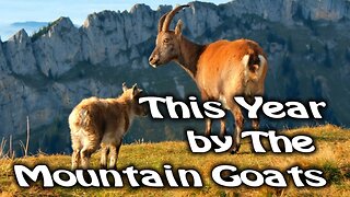 This Year by The Mountain Goats (Jacinda's favourite song of 2020)