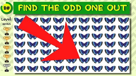 Can YOU find the ODD objects in these pictures? | Eye Test | Brain puzzle