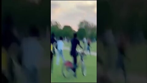 Machete and Sword Attack in London Park