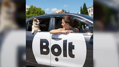 WATCH: Bolt secures €100-million investment to grow services across Europe and Africa (Z9D)