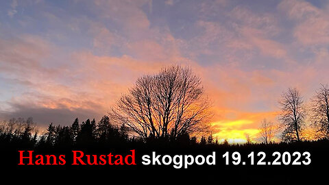 Skogpod 19. desember 2023