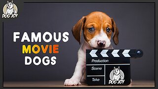 The MOST FAMOUS DOGS - Dog Breeds From the MOVIES