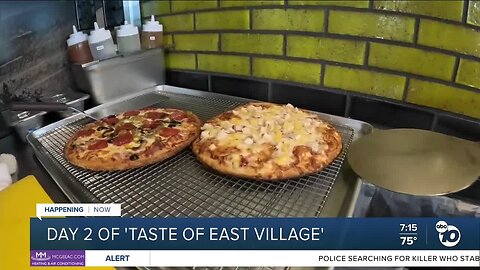 Taste of East Village underway