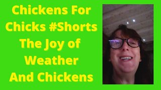 The Fun of Weather and Chickens #shorts