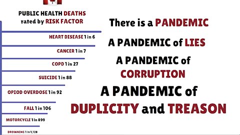 Pandemic of Lies (Updated to 1 Min) - Public Health Deaths