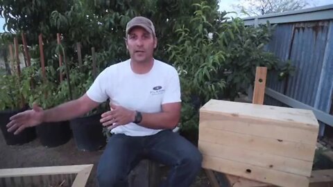 Swarm to Topbar Hive: Catching Bees part 3