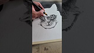 Drawing a Cat. In Progress