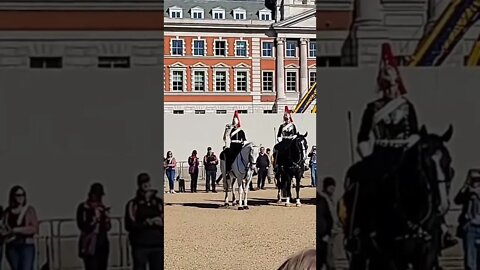 blues and royals solider on white horse plays the bugle #horseguardsparade