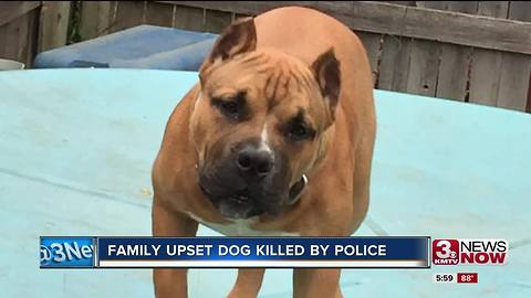 Family upset dog shot, killed during incident