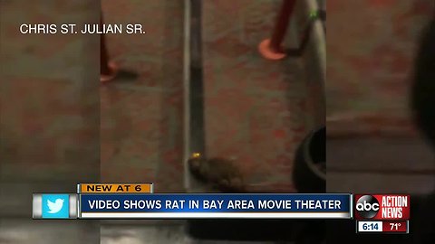 Video shows rat crawling around AMC Sundial 20 movie theater in St. Pete