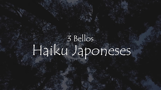 3 Bellos Haiku Japoneses