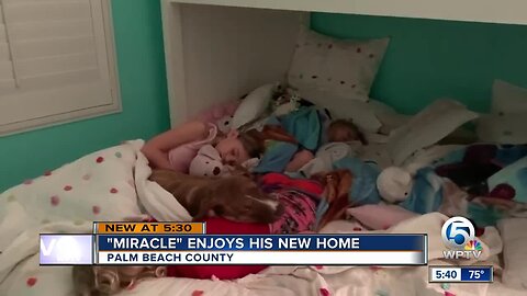 'Miracle' dog enjoys his new home after being rescued after Hurricane Dorian destroyed Marsh Harbour