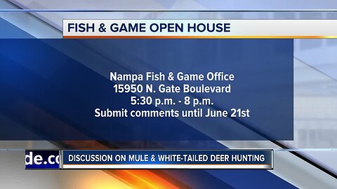 Fish and Game seeking input on Mule and White-tailed deer plans