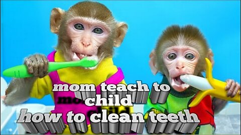 kiki monkey helps mom teach naughty baby how to brush teeth//kudo animal