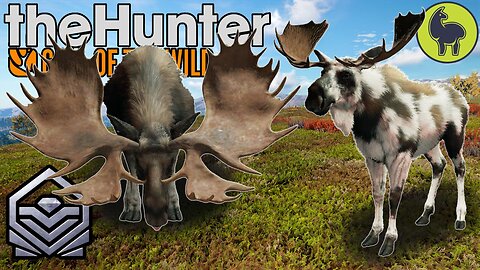 MAX WEIGHT Diamond and PIEBALD Moose | theHunter: Call of the Wild (PS5 4K 60FPS)