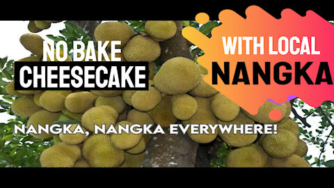 No bake cheesecake with local nangka!