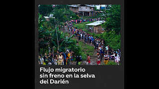 Flujo de migrantes en selva fronteriza entre Colombia y Panamá alcanza cifras récord