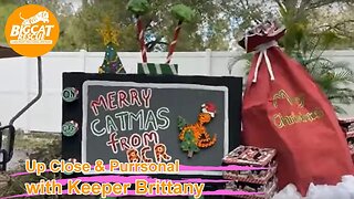 It’s Christmas enrichment time with Priya at Big Cat Rescue !! 12 21 2022